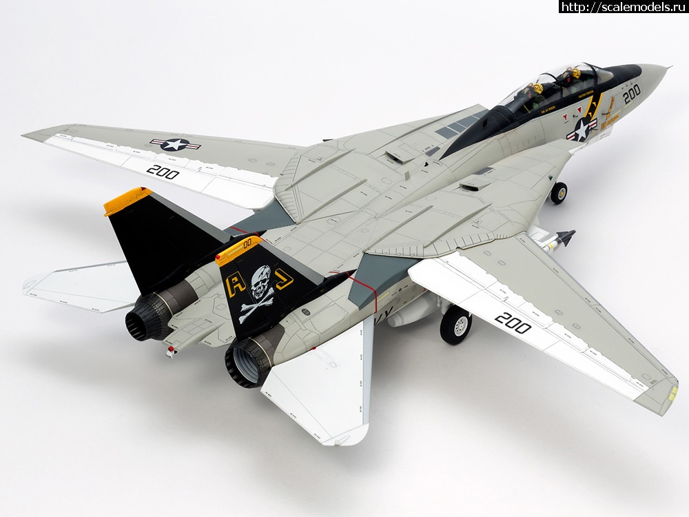 1476439525_2.jpg : Tamiya    F-14A Tomcat  1/48  