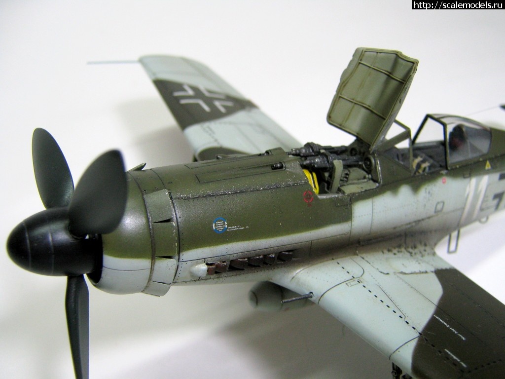 1476821886_IMG_2328.jpg : #1303042/ FW-190D-9 Eduard 1/48 - !  