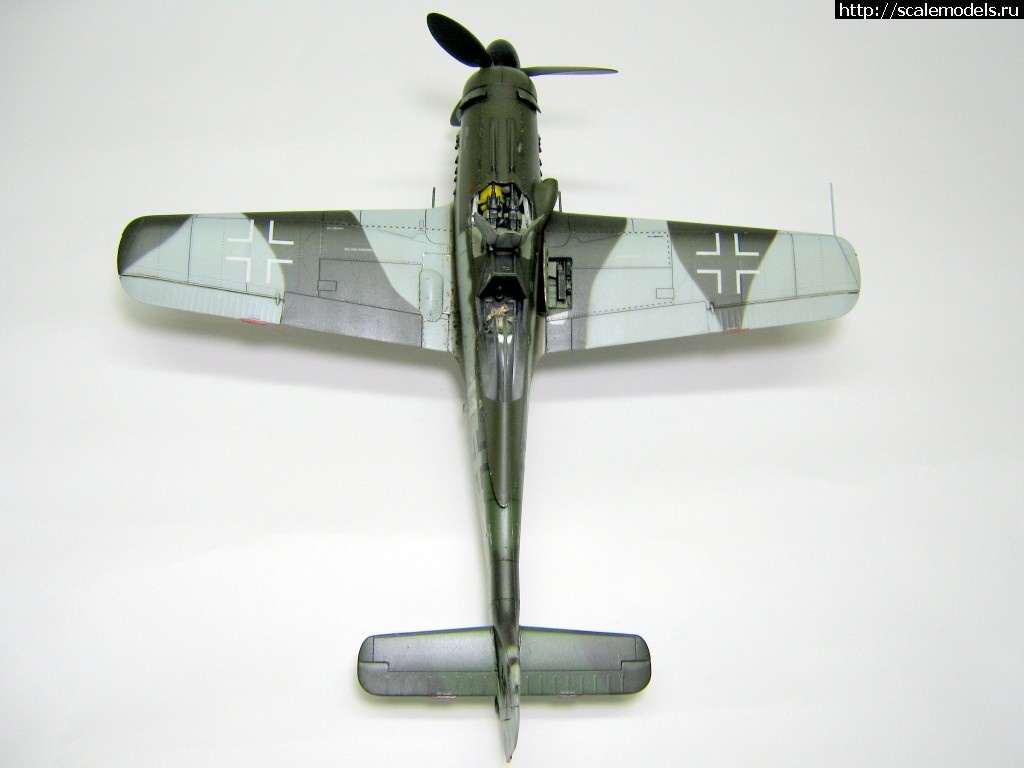 1476821956_IMG_2333.jpg : #1303042/ FW-190D-9 Eduard 1/48 - !  