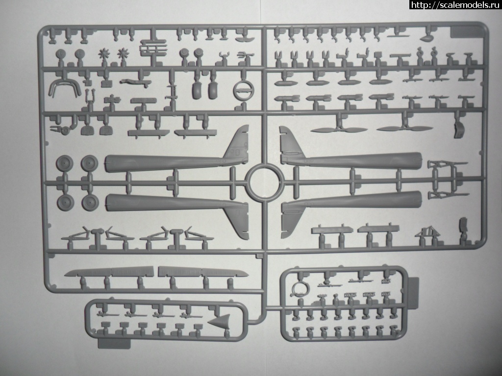 1477304441_SAM_4740.jpg : ICM 1/72 FW 189A-2   