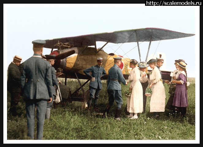 1477421413_post-10763-0-51868300-1328471673.jpg : 1/32 Albatros D.III Roden+WnW-!  