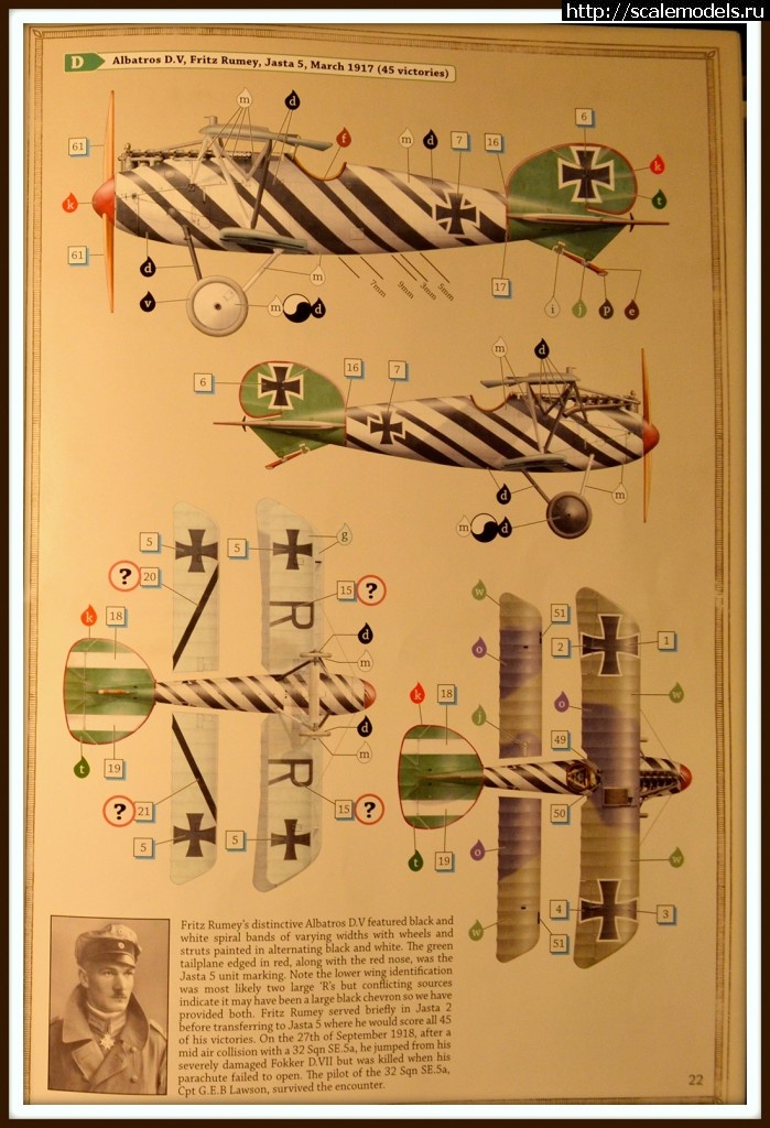 1477574210_DSC_0010.jpg : Albatros D.V Wingnut Wings 1/32  