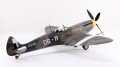 ICM 1/48 Spitfire Mk VIII