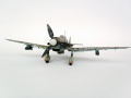 Hasegawa 1/48 Ju-87D5 Stuka