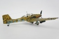 Hasegawa 1/48 Ju-87D5 Stuka