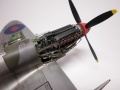 Eduard 1/48 Supermarine Spitfire