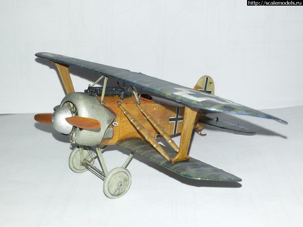 1478717052_20161109_203630.jpg : #1310149/ Karaya Albatros D XI 1/48   