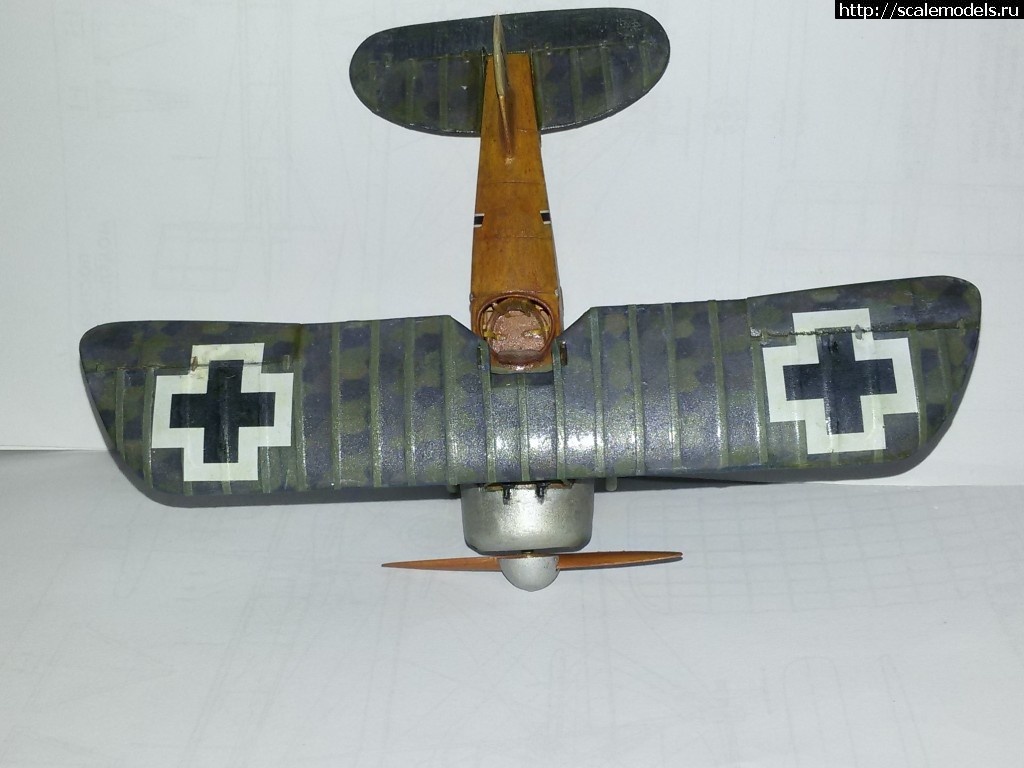 1478717113_20161109_203655.jpg : #1310149/ Karaya Albatros D XI 1/48   