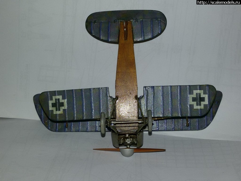 1478717202_20161109_203707.jpg : #1310149/ Karaya Albatros D XI 1/48   