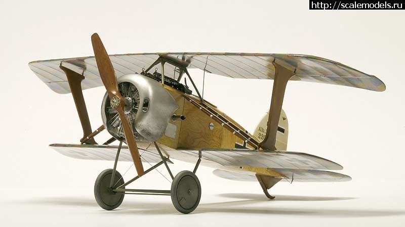 1478761627_albatros11_got_04.jpg : #1310258/ Karaya Albatros D XI 1/48   