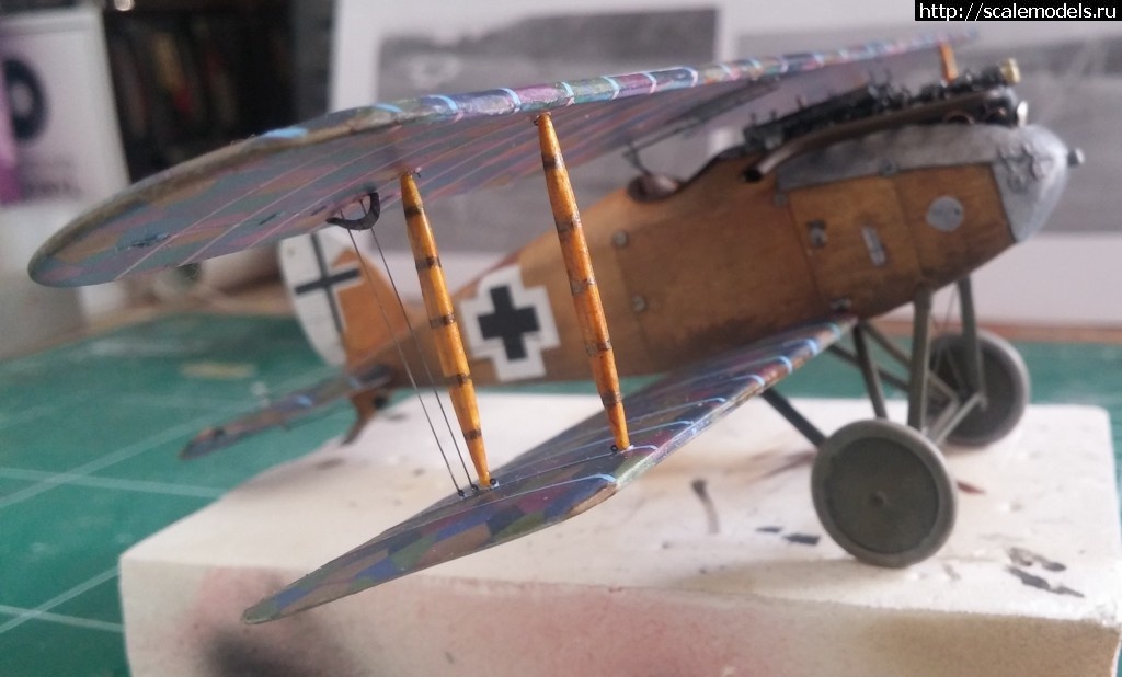 1479707183_20161120_121326.jpg : #1313846/ 1/48 Albatros D.XII ( ) !  