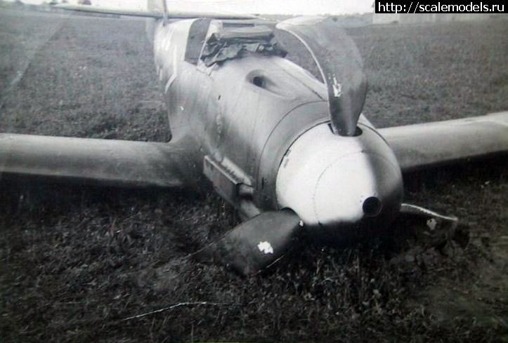 1479727492_image-2.jpg : #1314033/ 1/48 Bf 109F-4 +Eduard+Montex  