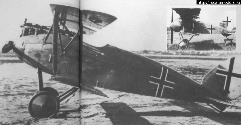 1479731253_64-3.jpg : #1314064/ 1/48 Albatros D.XII ( ) !  