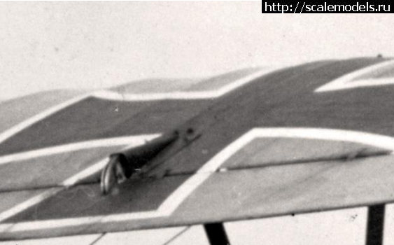 1479731942_1.png : #1314069/ 1/48 Albatros D.XII ( ) !  