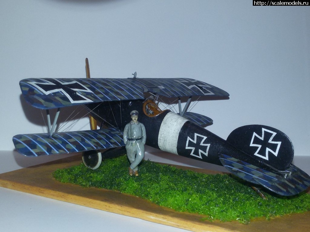 1480092722_20161125_181823.jpg : #1315834/ Eduard Albatros D V 1/48   