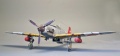 Hasegawa 1/48 Ki-61 Hien -     !