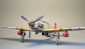 Hasegawa 1/48 Ki-61 Hien -     !