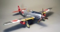 Hasegawa 1/48 Ki-61 Hien -     !