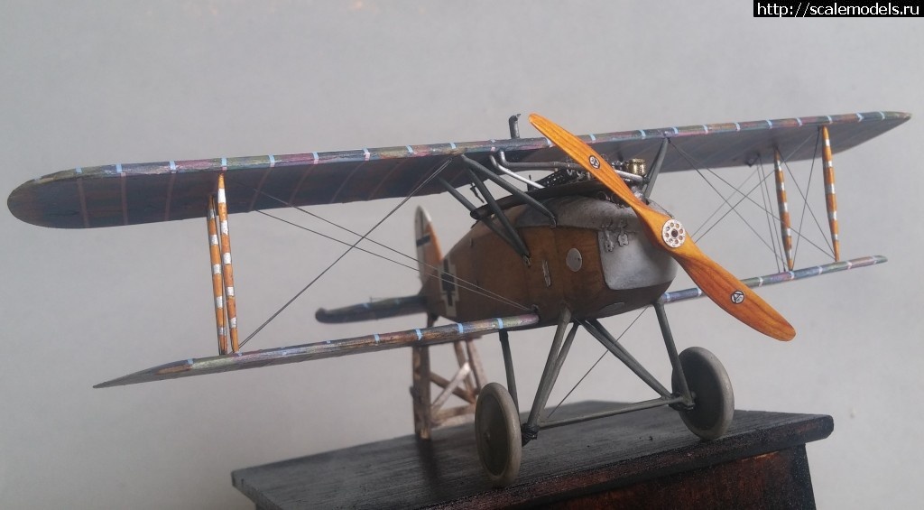 1480674350_20161129_122714.jpg : #1318246/ 1/48 Albatros D.XII ( ) !  