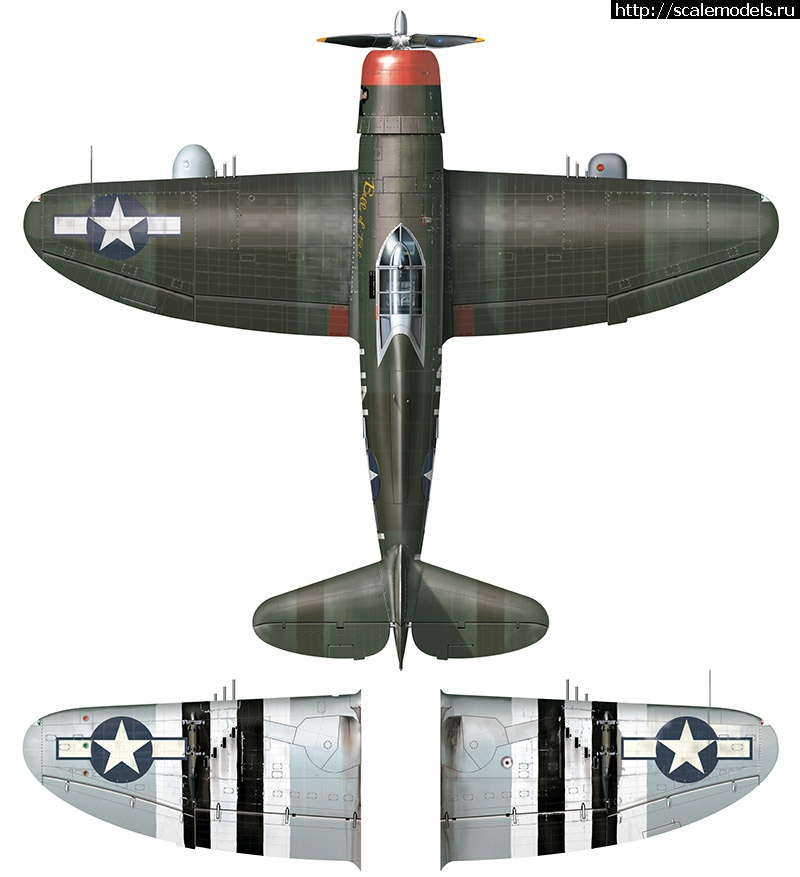 1481040351_Bombshel-Decals.jpg : #1319638/ Tamiya 1/48 Republic P-47D Thunderbolt(#10516) -   