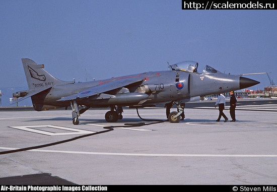 1483046179_1400233M.jpg : #1327767/  Sea Harrier FRS.1  