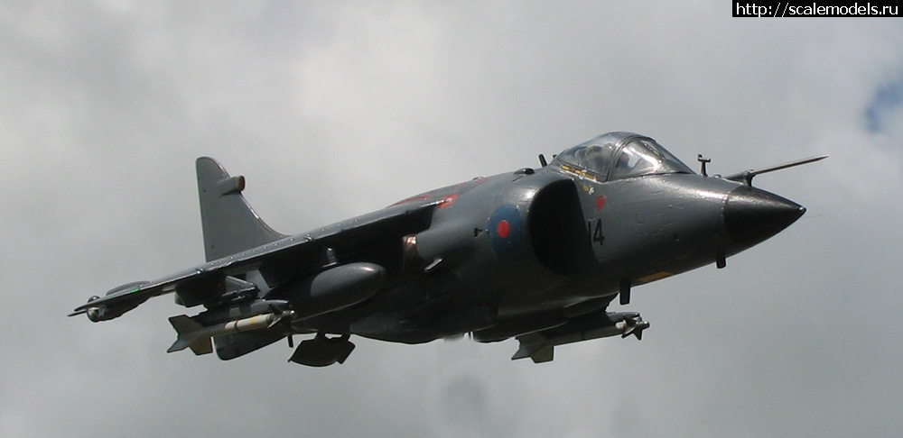 1483088851_shar.jpg : #1327875/  Sea Harrier FRS.1  