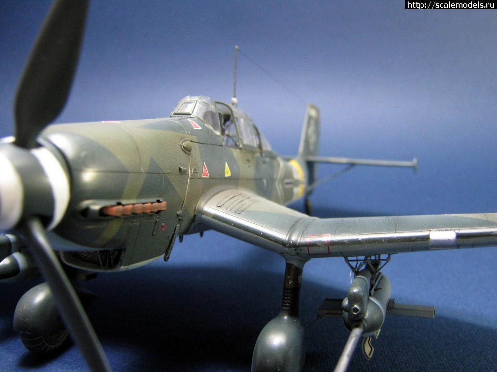 1483199168_IMG_2464.jpg : #1328378/ Ju-87 G-2 Hasegawa 1/48 - !  
