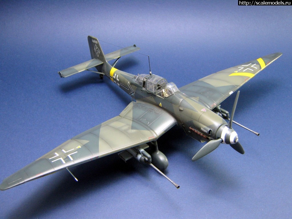 1483199417_IMG_2488.jpg : #1328378/ Ju-87 G-2 Hasegawa 1/48 - !  