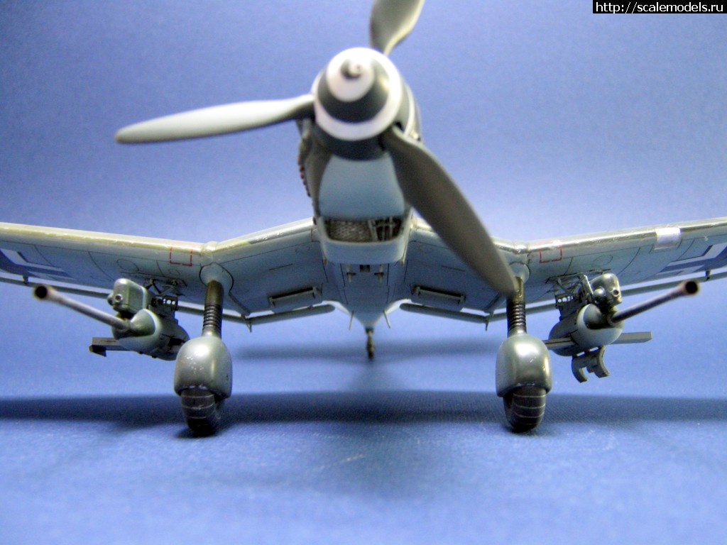 1483199440_IMG_2489.jpg : #1328378/ Ju-87 G-2 Hasegawa 1/48 - !  