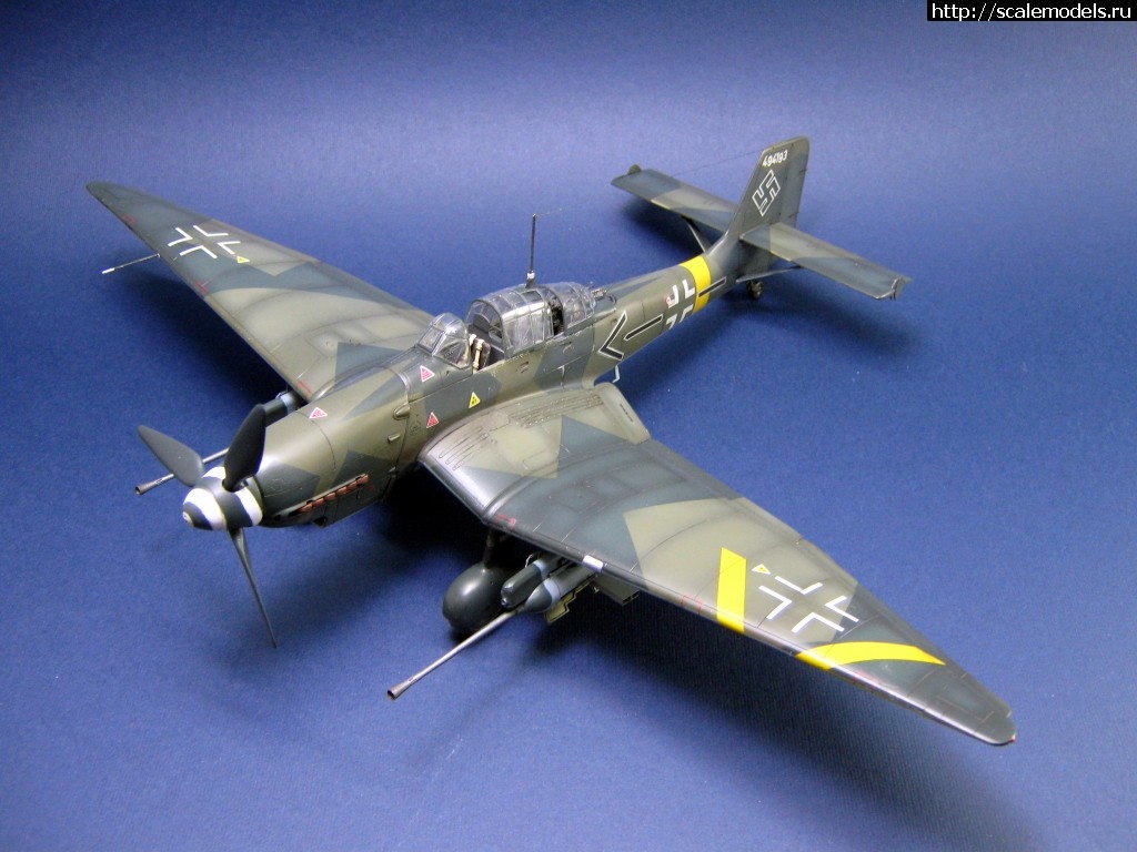 1483199489_IMG_2491.jpg : #1328378/ Ju-87 G-2 Hasegawa 1/48 - !  