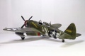 Tamiya 1/48 Republic P-47D Thunderbolt