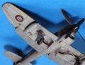 Eduard 1/48 Tempest Mk.V -   