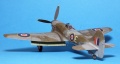 Eduard 1/48 Tempest Mk.V -   