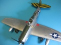 Revell 1/48 P-47N Thunderbolt MAD RUSSIAN