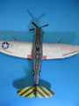 Revell 1/48 P-47N Thunderbolt MAD RUSSIAN