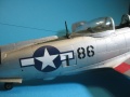 Revell 1/48 P-47N Thunderbolt MAD RUSSIAN