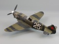 ICM 1/48 -3