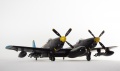 NOVO 1/72 F-82G Twin Mustang - 