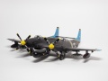 NOVO 1/72 F-82G Twin Mustang - 