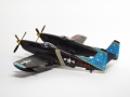 NOVO 1/72 F-82G Twin Mustang - 