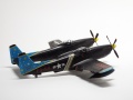 NOVO 1/72 F-82G Twin Mustang - 