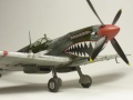 Eduard 1/48 Spitfire Mk. VIII RAAF - Aussie Eight