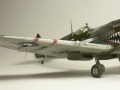 Eduard 1/48 Spitfire Mk. VIII RAAF - Aussie Eight