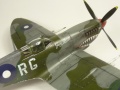 Eduard 1/48 Spitfire Mk. VIII RAAF - Aussie Eight