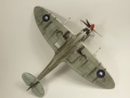 Eduard 1/48 Spitfire Mk. VIII RAAF - Aussie Eight