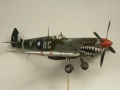 Eduard 1/48 Spitfire Mk. VIII RAAF - Aussie Eight