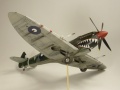 Eduard 1/48 Spitfire Mk. VIII RAAF - Aussie Eight