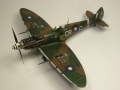 Eduard 1/48 Spitfire Mk. VIII RAAF - Aussie Eight