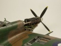 Eduard 1/48 Spitfire Mk. VIII RAAF - Aussie Eight