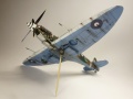 Eduard 1/48 Spitfire Mk. VIII RAAF - Aussie Eight